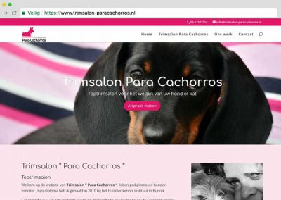 Trimsalon Para Cachorros